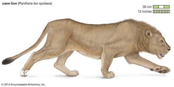 2024041948212070.jpg 9.jpg