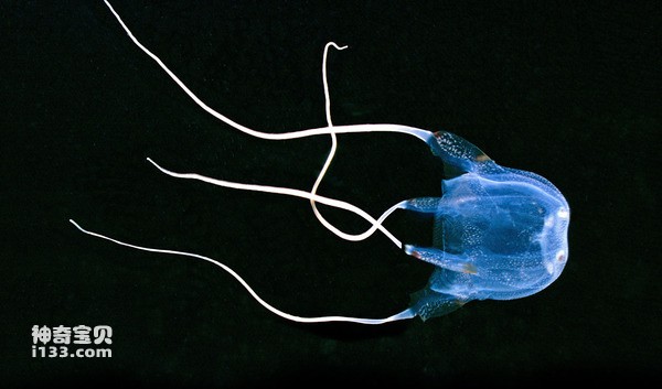 2024042060965389.jpg 5.jpg