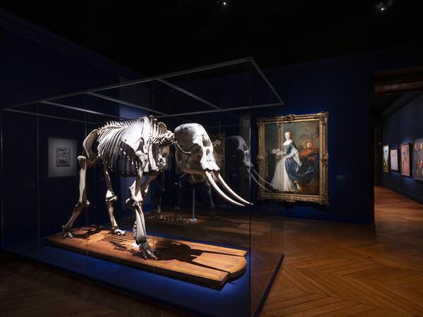 2024042090586259.jpeg 111.jpeg