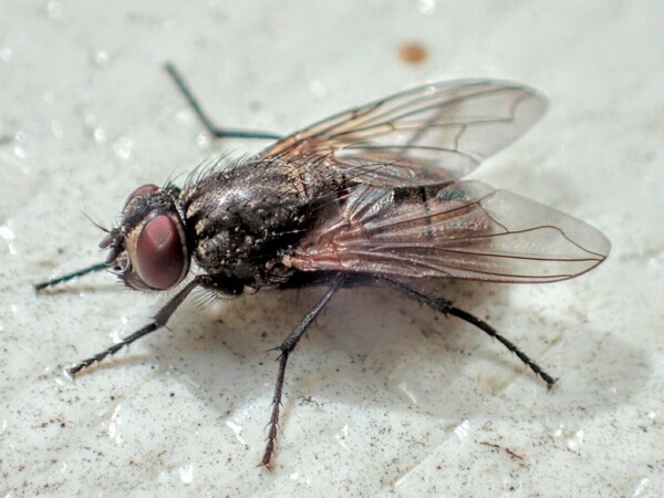 2024042216126159.jpeg 4.jpeg