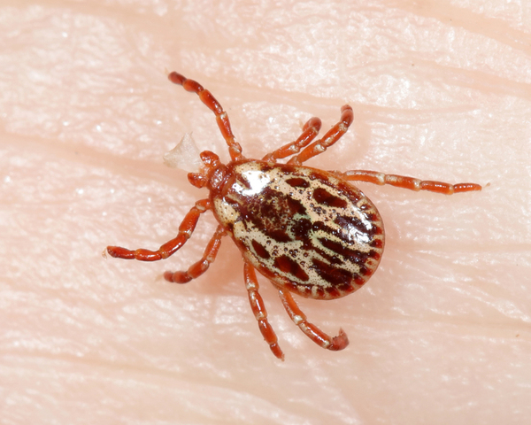 2024042216889683.jpeg 6.jpeg