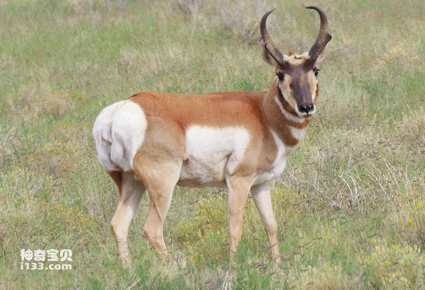 2024042314014055.jpg 3.jpg