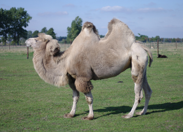 2024042319849630.jpeg 7.jpeg