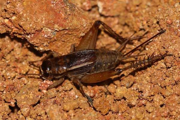 2024042611901173.jpeg 6.jpeg