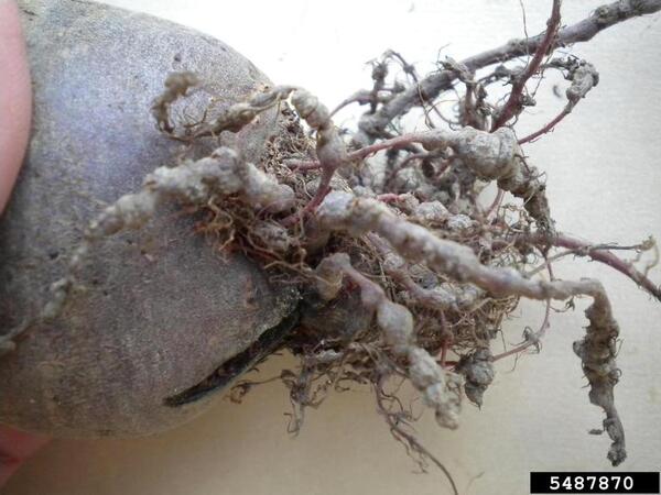 2024042612021322.jpeg 8.jpeg