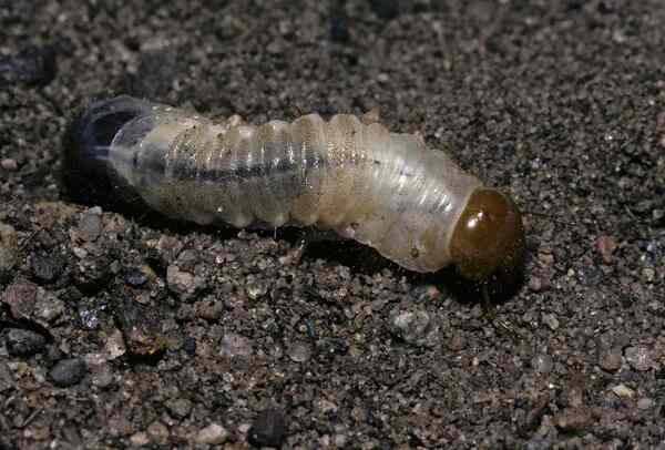 2024042612849704.jpeg 1.jpeg