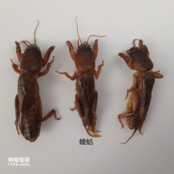 2024042613521951.jpg 2.jpg