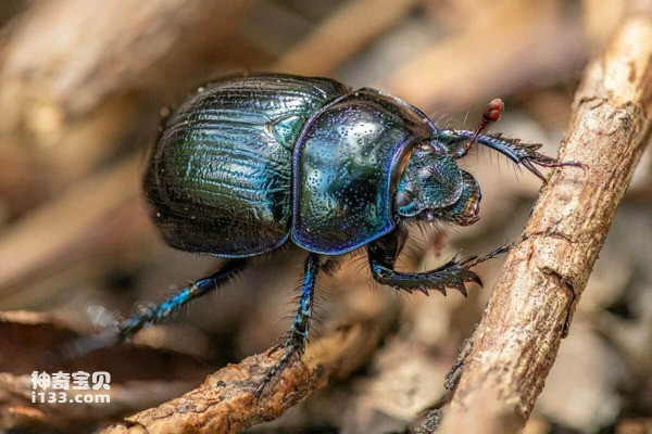 2024042613563220.jpg 7.jpg