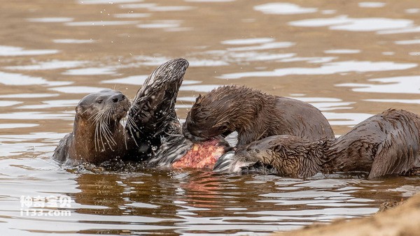 2024042713865039.jpg 5.jpg