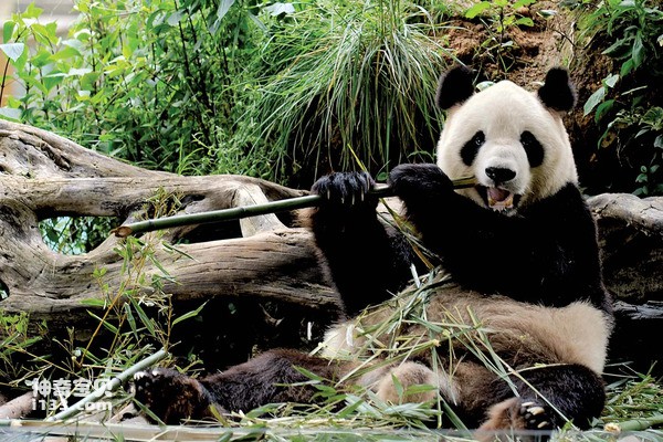 2024042715681146.jpg 4.jpg