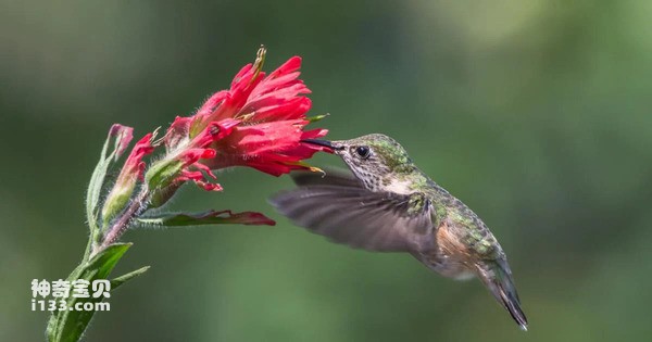 2024042717865628.jpg 3.jpg