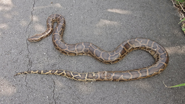 2024042718626746.jpeg 10.jpeg