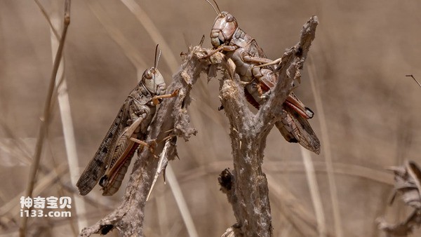 2024042911870254.jpg 2.jpg