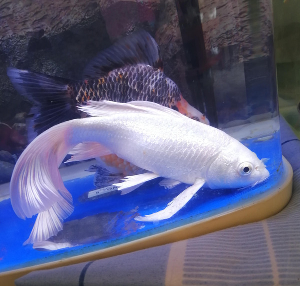 2024042918150039.jpeg 4.jpeg