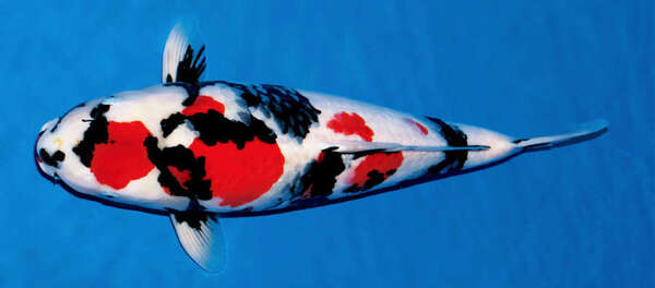 2024042924539857.jpeg 6.jpeg