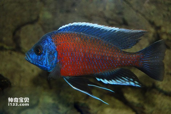 2024050212239442.jpg 8.jpg