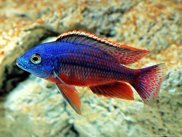 2024050214136468.jpeg 2.jpeg