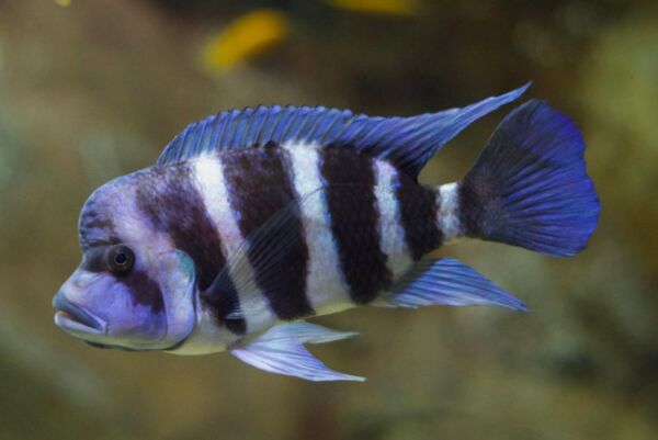 2024050219361554.jpeg 1.jpeg