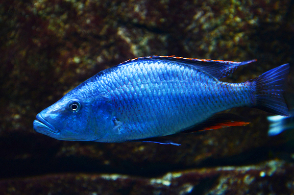 2024050221395967.jpeg 4.jpeg