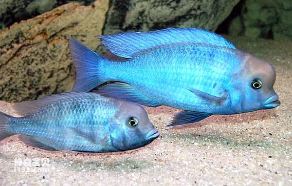 2024050289355193.jpg 3.jpg