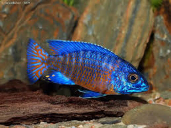 2024050294882255.jpeg 10.jpeg