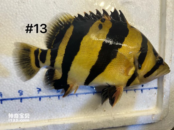 2024050816290991.jpg 5.jpg