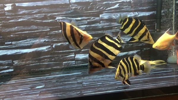 2024050817674590.jpeg 3.jpeg