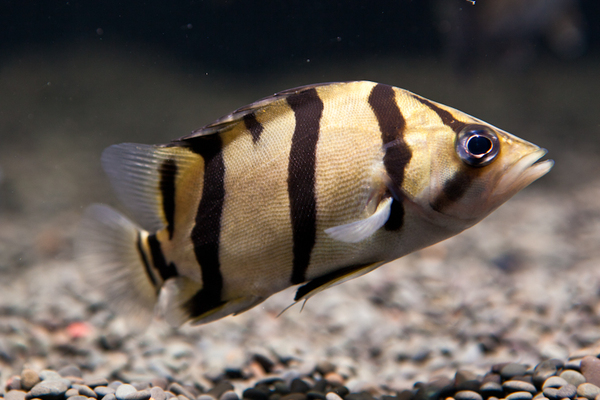 2024050818616204.jpeg 6.jpeg