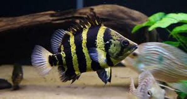 2024050851262262.jpeg 4.jpeg