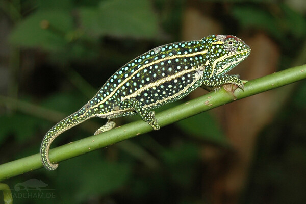 2024051018956470.jpeg 2.jpeg