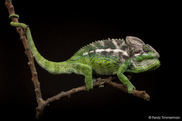 2024051031833848.jpeg 9.jpeg