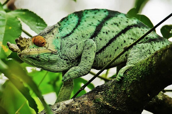 2024051057204479.jpeg 3.jpeg