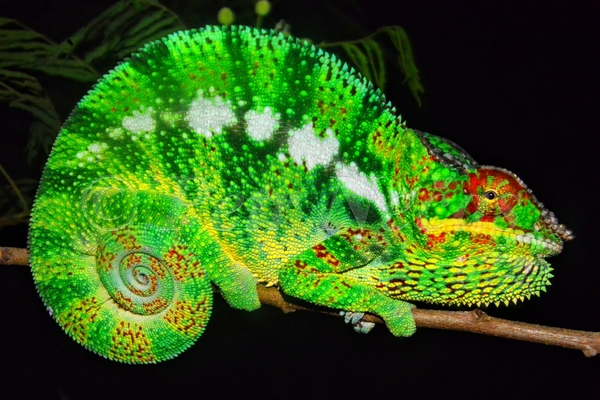 2024051077882895.jpeg 1.jpeg