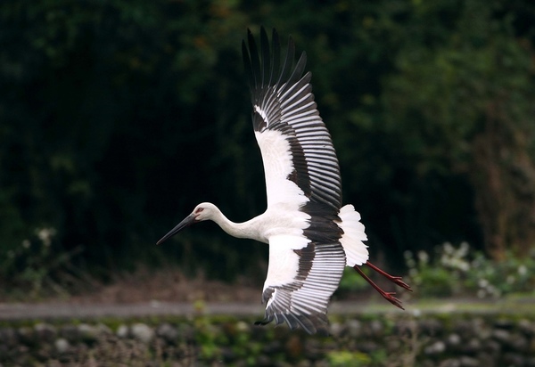 2024052113076765.jpeg 88.jpeg