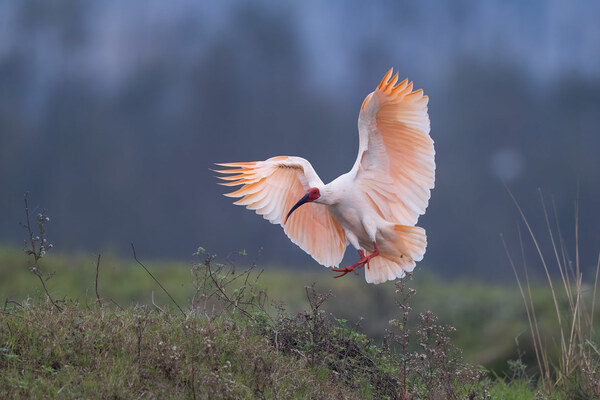 2024052117435253.jpeg 1.jpeg