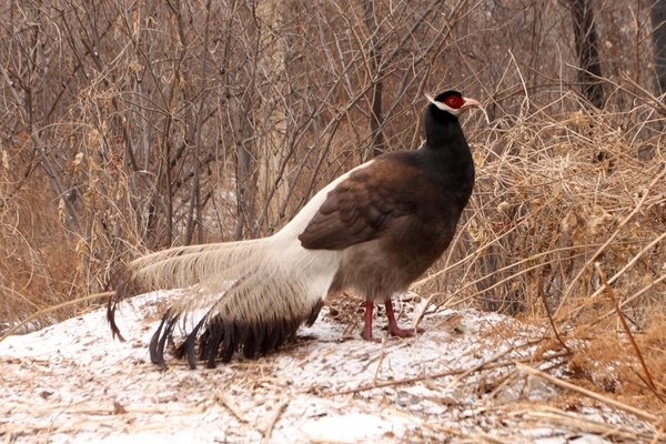 2024052119728365.jpeg 77.jpeg