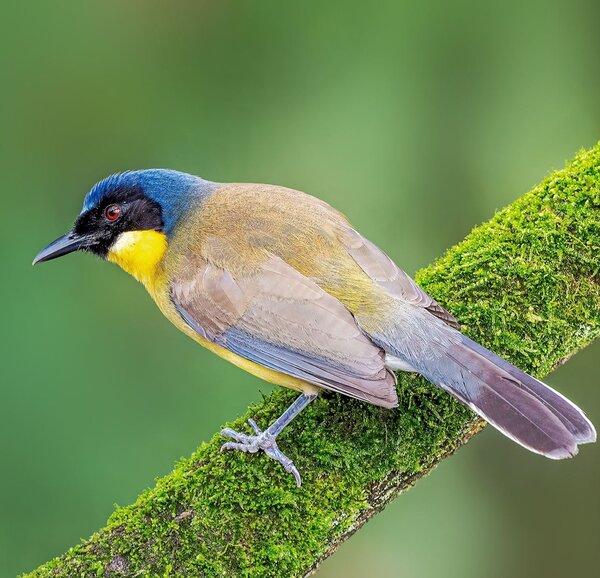 2024052120289110.jpeg 55.jpeg