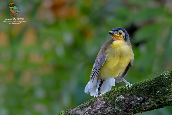 2024052134902803.jpeg 5.jpeg