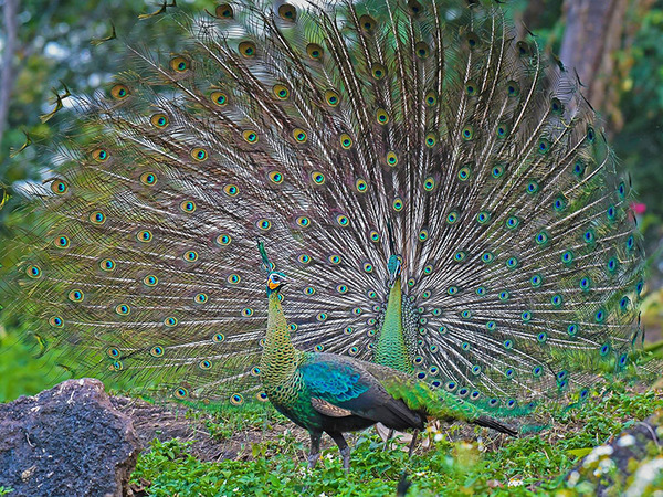 2024052180081930.jpeg 22.jpeg