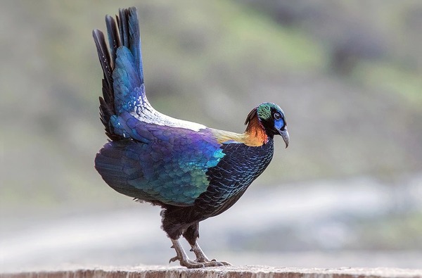 2024052186311901.jpeg 6.jpeg