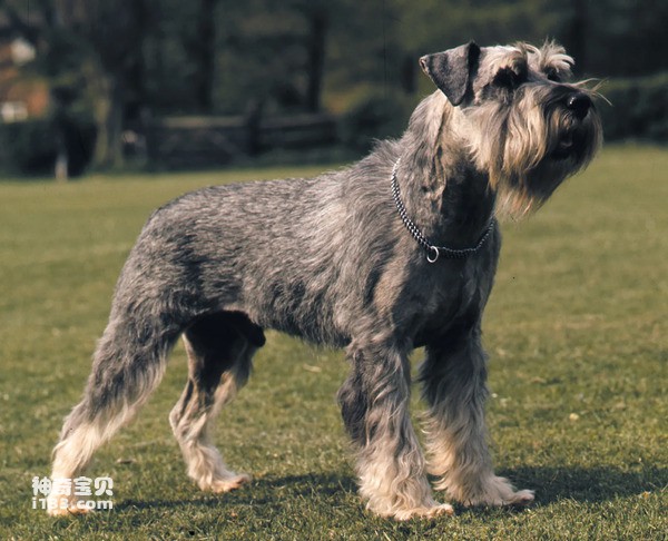 2024052917817108.jpg 3.jpg