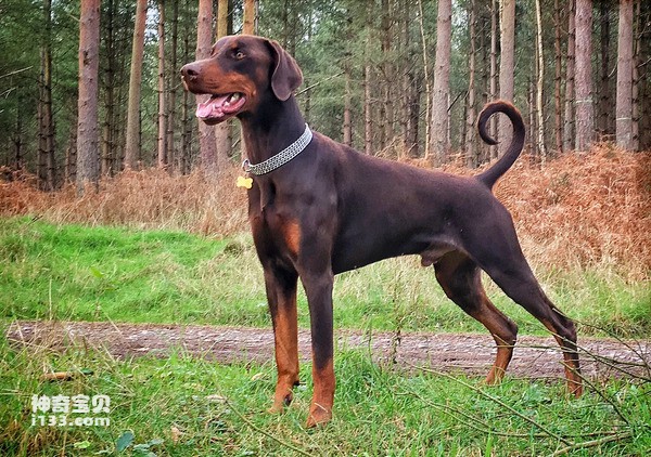 2024052920451632.jpg 5.jpg