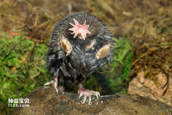 2024060410206349.jpg 88.jpg