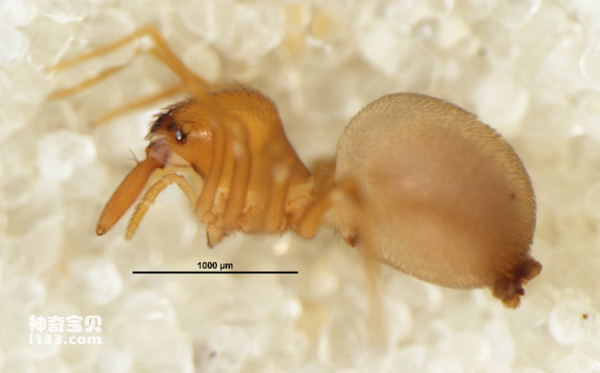 2024060415717696.png 22.png