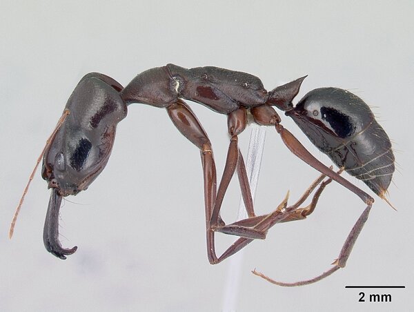 2024060420571088.jpeg 33.jpeg