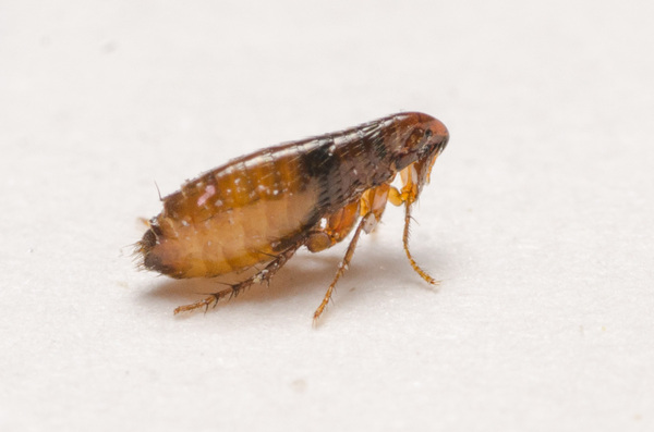 2024060426898284.jpeg 6.jpeg