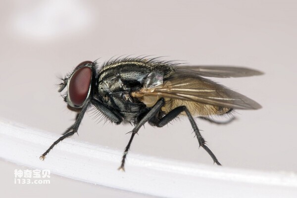 2024060429708462.jpg 7.jpg