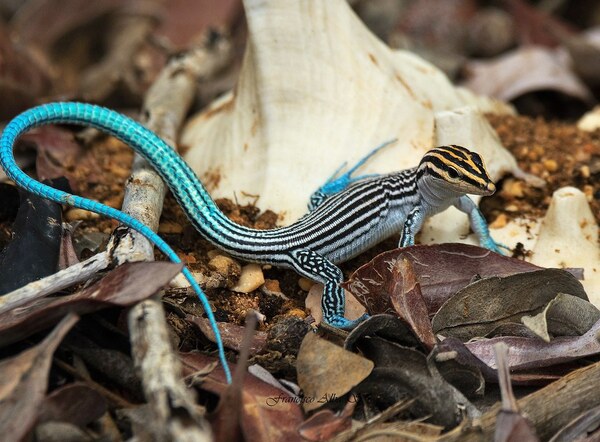 2024060436724427.jpeg 1010.jpeg