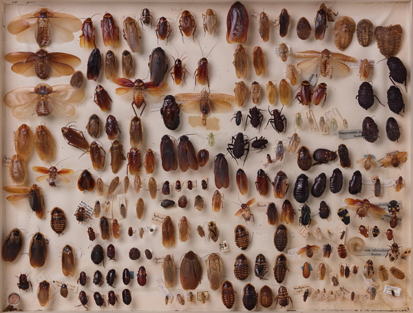 2024060456240247.jpeg 9.jpeg