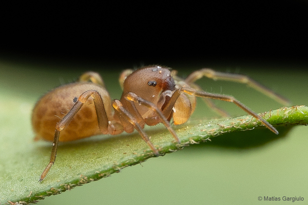 2024060468594794.jpeg 2.jpeg